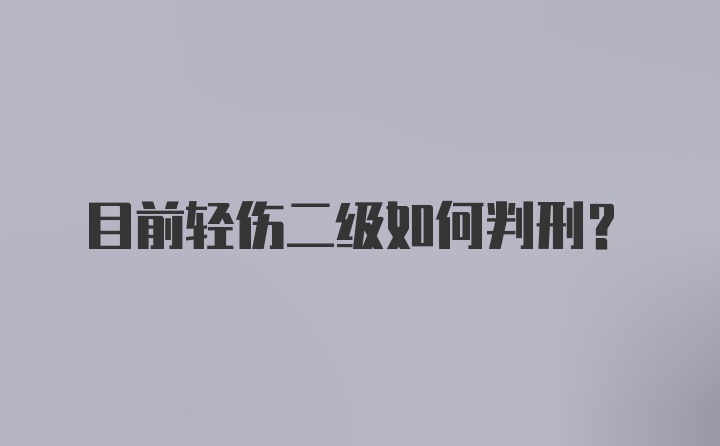 目前轻伤二级如何判刑？