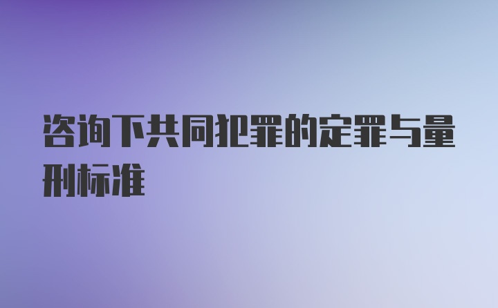 咨询下共同犯罪的定罪与量刑标准