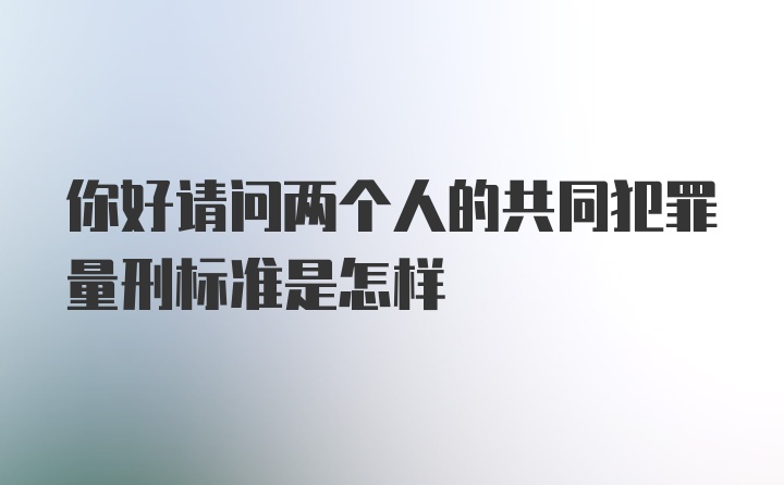 你好请问两个人的共同犯罪量刑标准是怎样