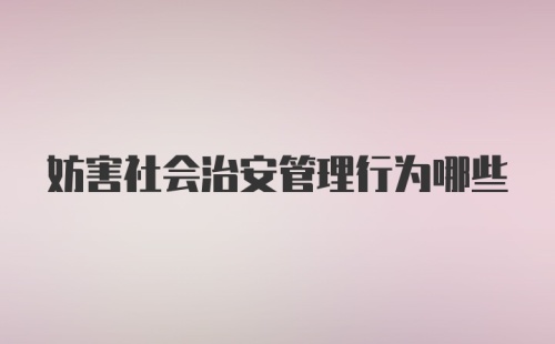 妨害社会治安管理行为哪些