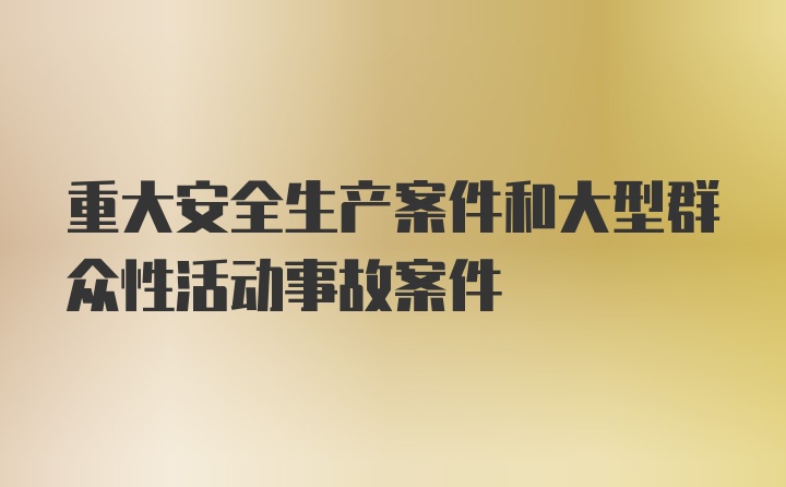 重大安全生产案件和大型群众性活动事故案件