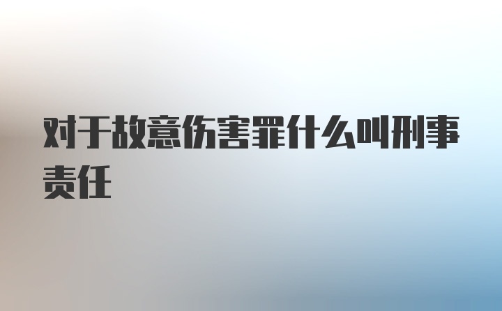 对于故意伤害罪什么叫刑事责任