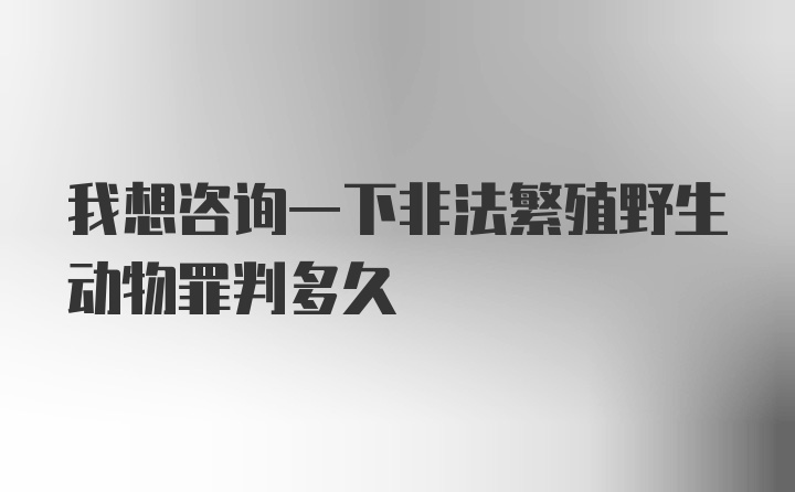 我想咨询一下非法繁殖野生动物罪判多久