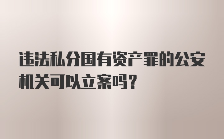 违法私分国有资产罪的公安机关可以立案吗？