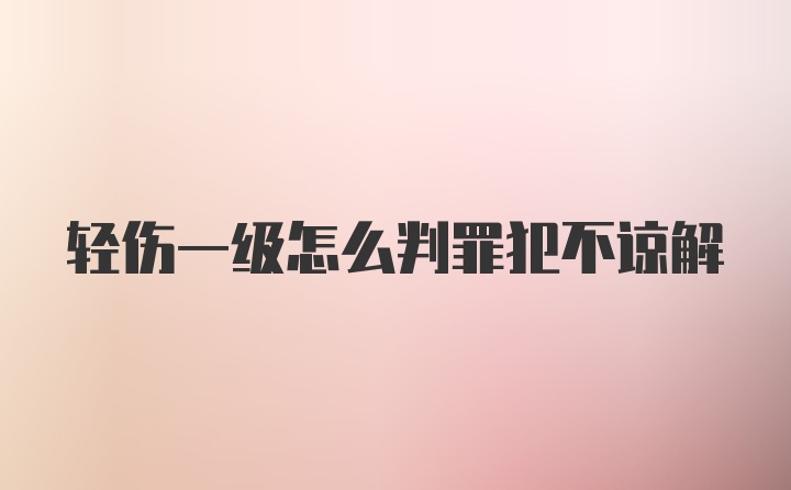 轻伤一级怎么判罪犯不谅解