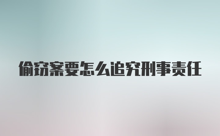 偷窃案要怎么追究刑事责任