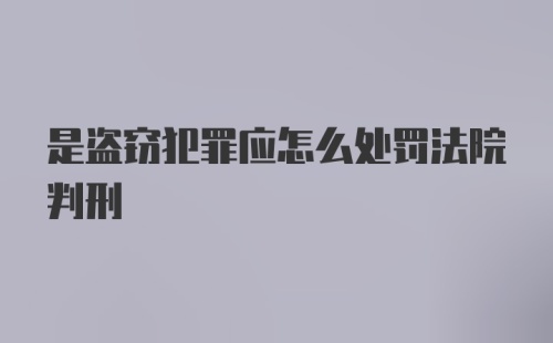 是盗窃犯罪应怎么处罚法院判刑