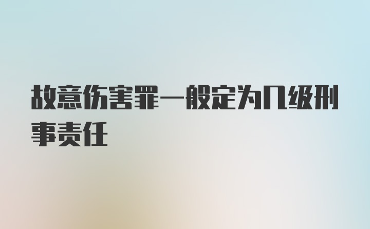 故意伤害罪一般定为几级刑事责任