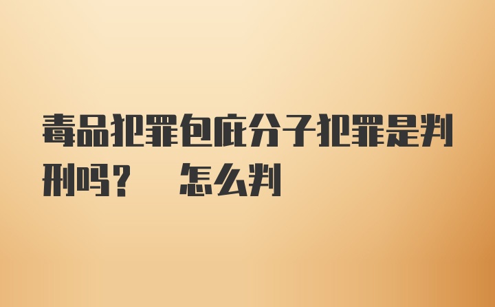 毒品犯罪包庇分子犯罪是判刑吗? 怎么判