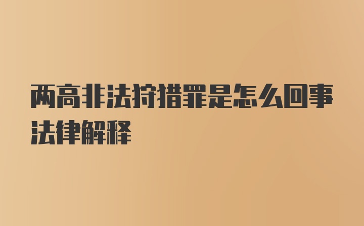 两高非法狩猎罪是怎么回事法律解释