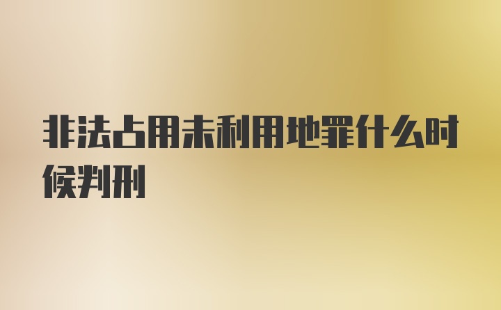 非法占用未利用地罪什么时候判刑