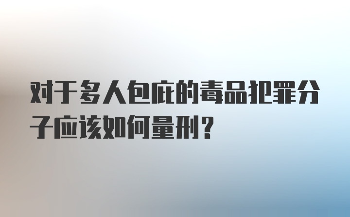 对于多人包庇的毒品犯罪分子应该如何量刑？