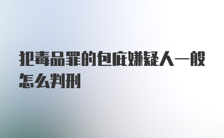 犯毒品罪的包庇嫌疑人一般怎么判刑