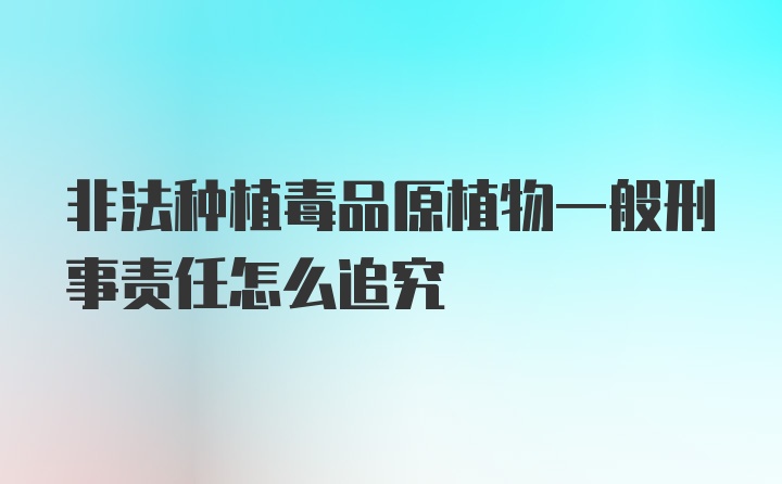 非法种植毒品原植物一般刑事责任怎么追究