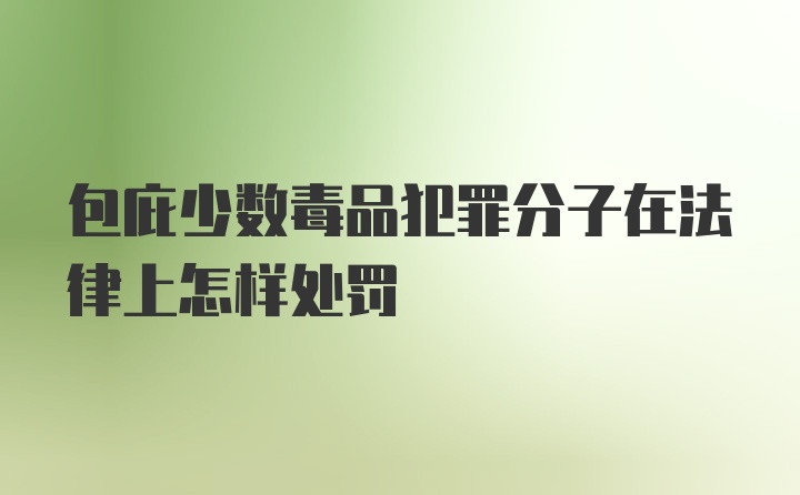 包庇少数毒品犯罪分子在法律上怎样处罚