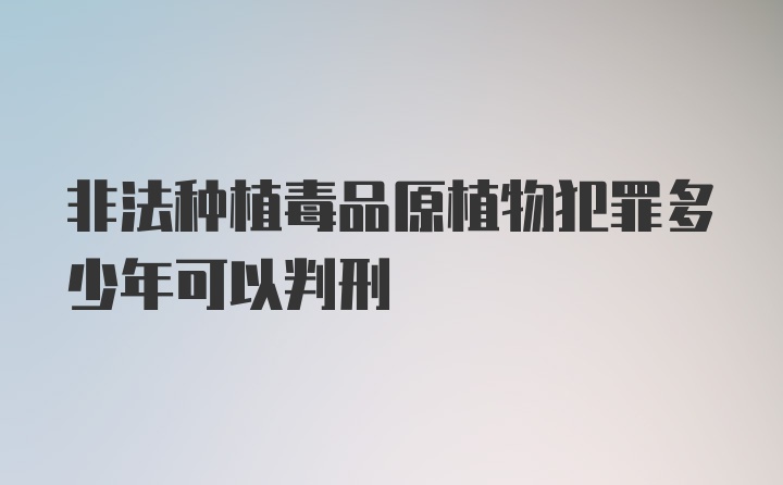 非法种植毒品原植物犯罪多少年可以判刑