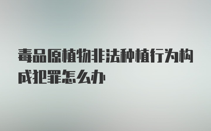 毒品原植物非法种植行为构成犯罪怎么办