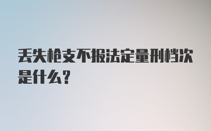 丢失枪支不报法定量刑档次是什么？