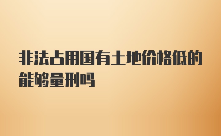 非法占用国有土地价格低的能够量刑吗