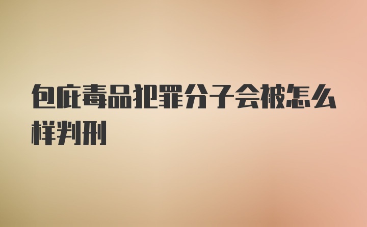 包庇毒品犯罪分子会被怎么样判刑