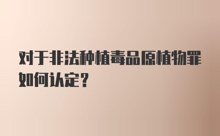 对于非法种植毒品原植物罪如何认定?