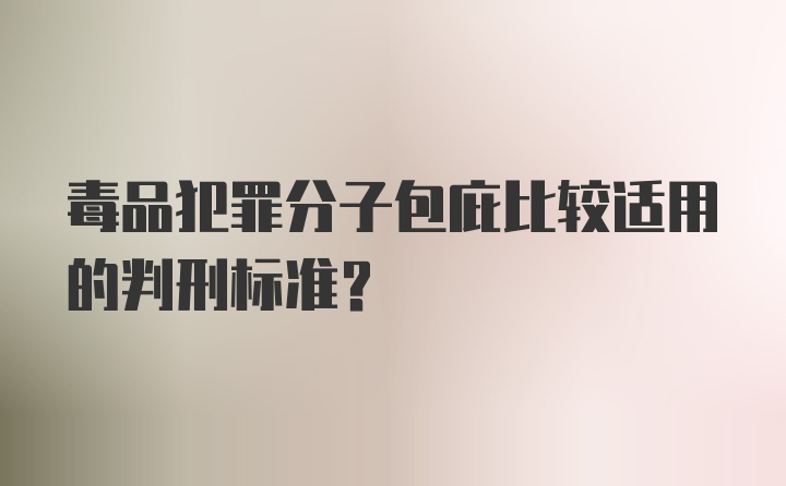 毒品犯罪分子包庇比较适用的判刑标准？