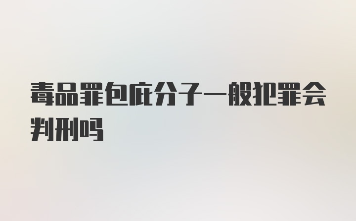 毒品罪包庇分子一般犯罪会判刑吗