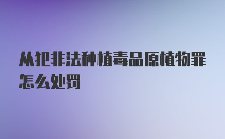 从犯非法种植毒品原植物罪怎么处罚