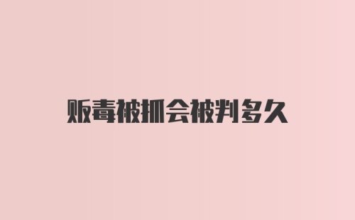 贩毒被抓会被判多久