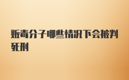 贩毒分子哪些情况下会被判死刑