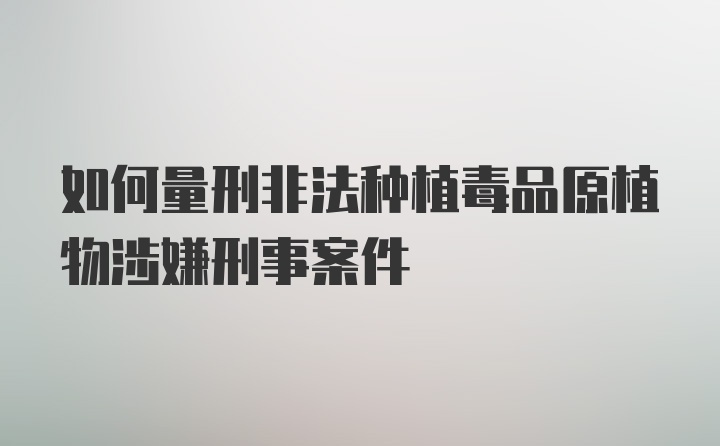 如何量刑非法种植毒品原植物涉嫌刑事案件