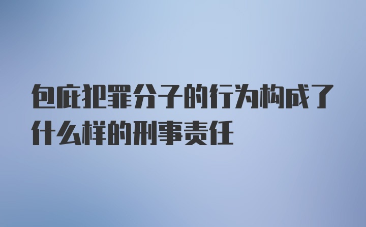 包庇犯罪分子的行为构成了什么样的刑事责任