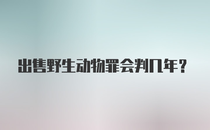 出售野生动物罪会判几年？