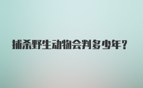 捕杀野生动物会判多少年?