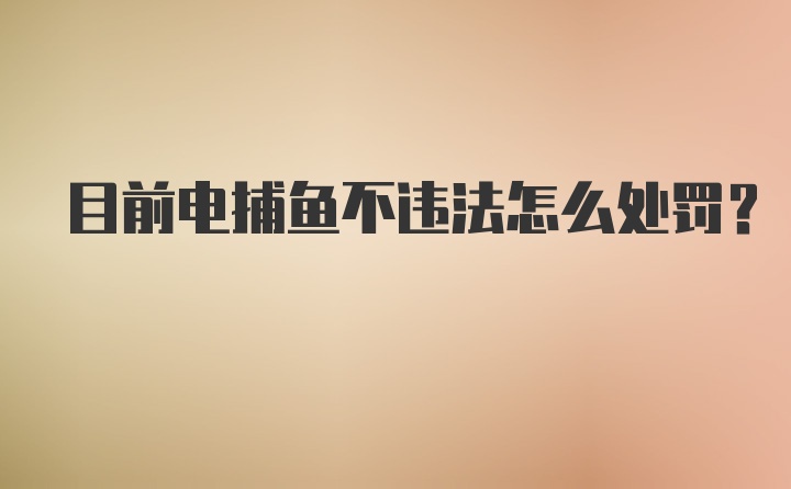 目前电捕鱼不违法怎么处罚？