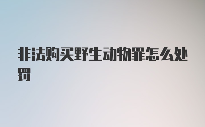 非法购买野生动物罪怎么处罚