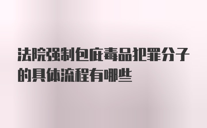 法院强制包庇毒品犯罪分子的具体流程有哪些