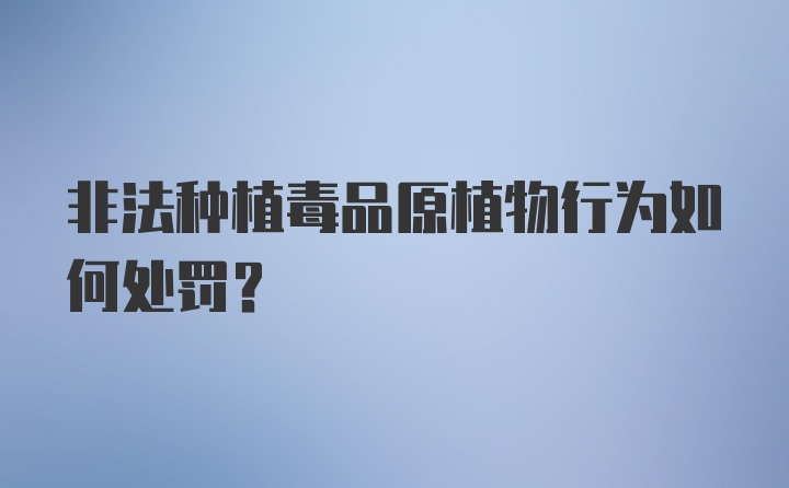 非法种植毒品原植物行为如何处罚?