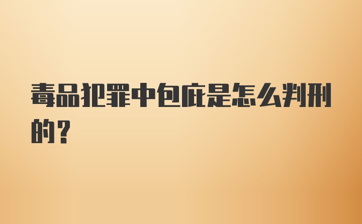 毒品犯罪中包庇是怎么判刑的？