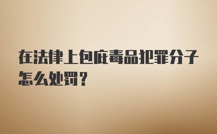 在法律上包庇毒品犯罪分子怎么处罚？