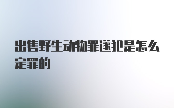 出售野生动物罪遂犯是怎么定罪的