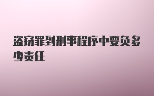 盗窃罪到刑事程序中要负多少责任