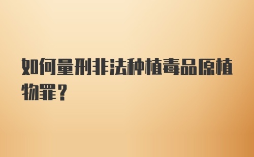 如何量刑非法种植毒品原植物罪?