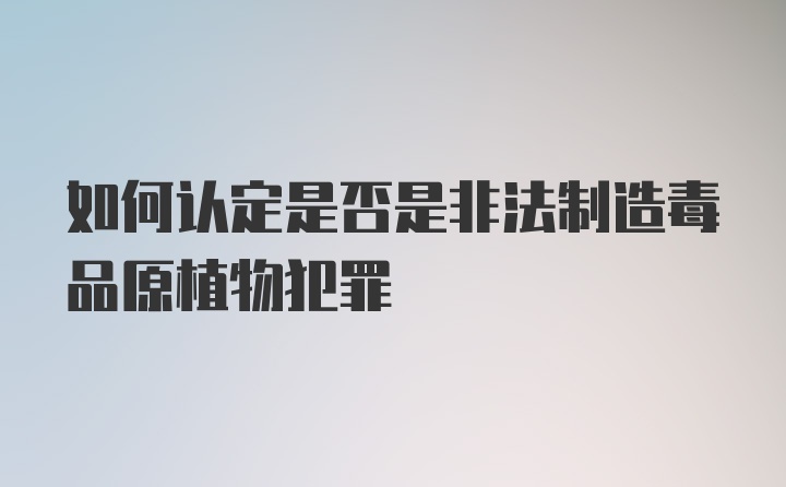 如何认定是否是非法制造毒品原植物犯罪