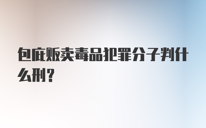 包庇贩卖毒品犯罪分子判什么刑？