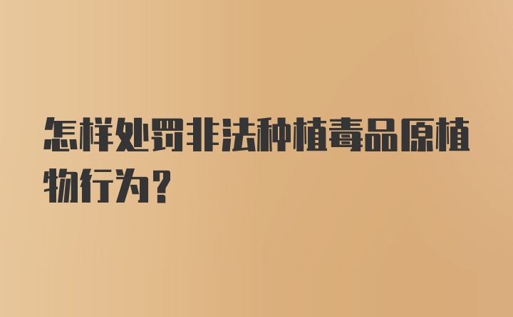 怎样处罚非法种植毒品原植物行为？