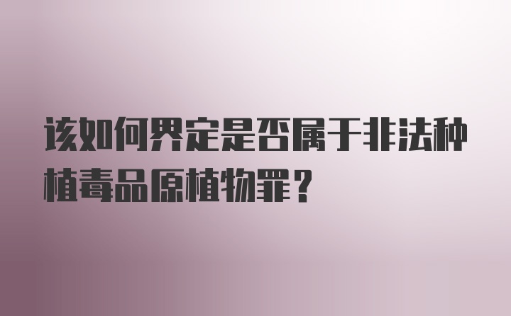 该如何界定是否属于非法种植毒品原植物罪？