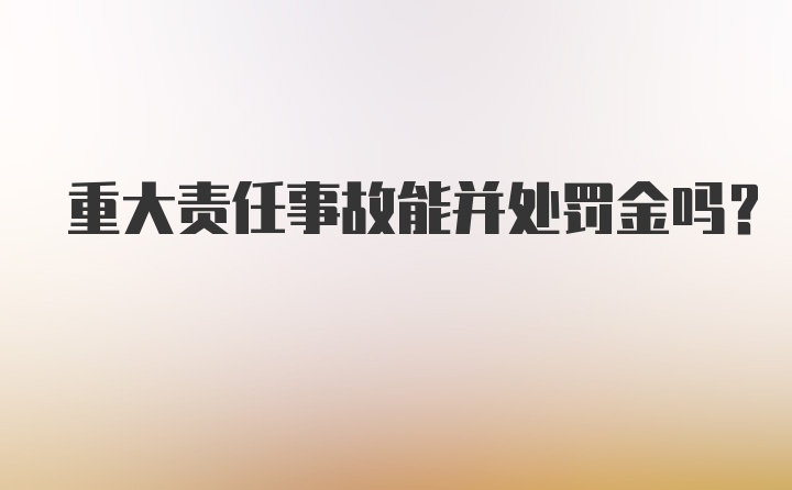 重大责任事故能并处罚金吗？