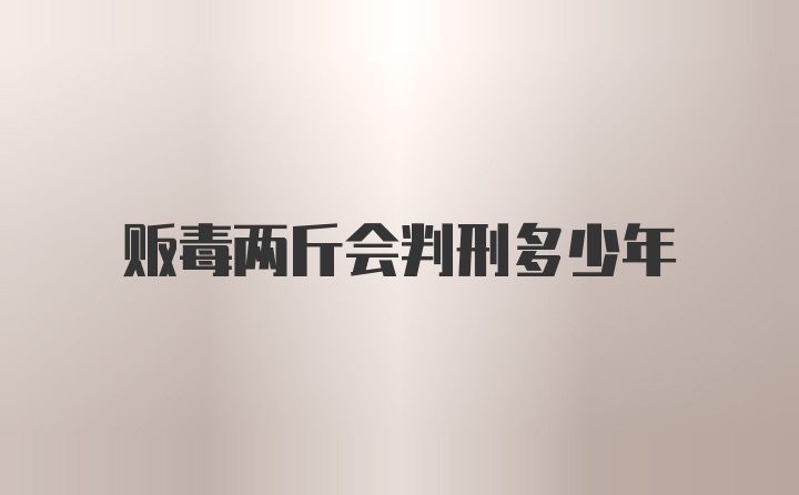 贩毒两斤会判刑多少年