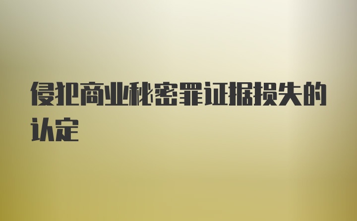 侵犯商业秘密罪证据损失的认定